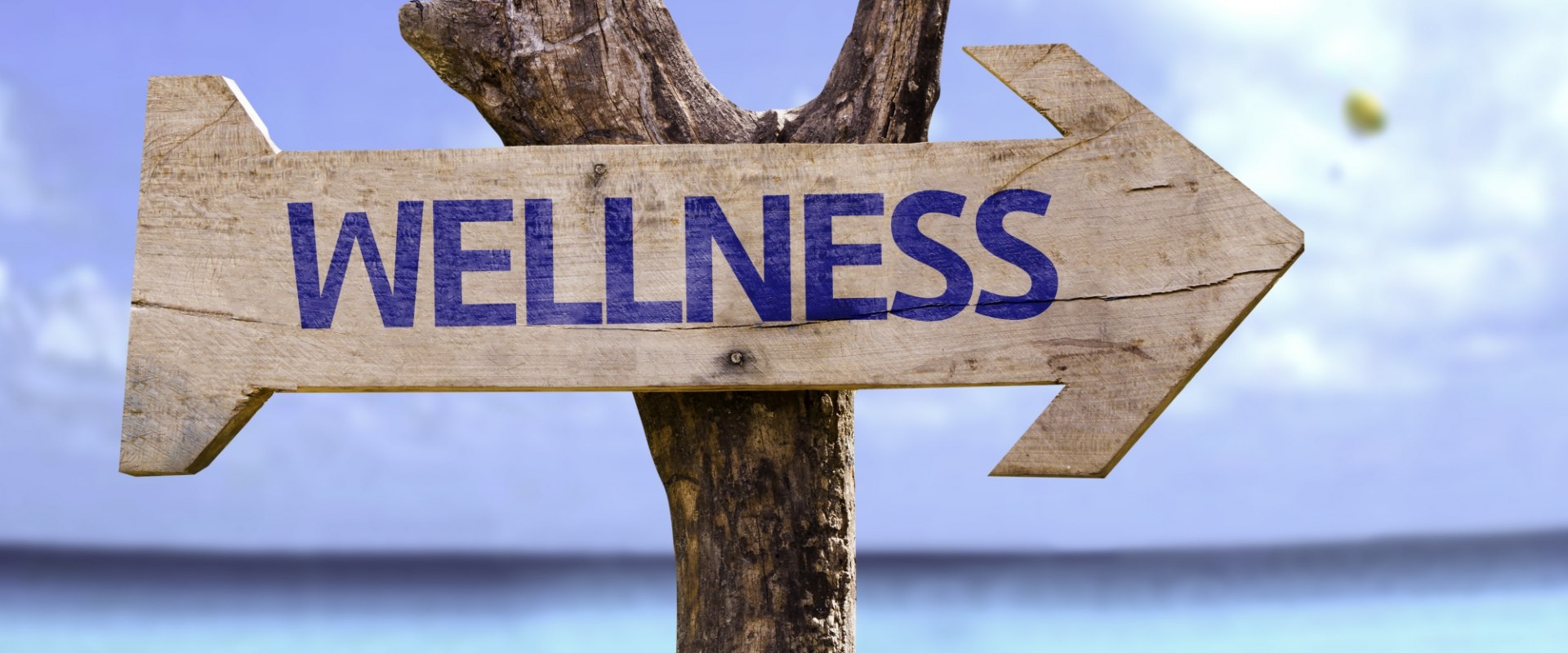 The Journey to Optimal Health and Well-Being
